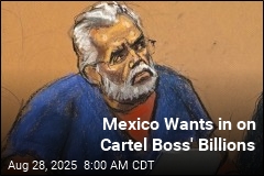 Mexico Wants a Cut of Cartel Boss&#39; Billions