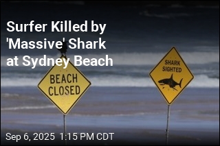 Surfer Killed by &#39;Massive&#39; Shark at Sydney Beach