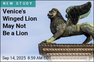 Venice&#39;s Winged Lion May Not Be a Lion