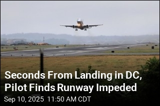 Seconds From Landing in DC, Pilot Finds Runway Impeded