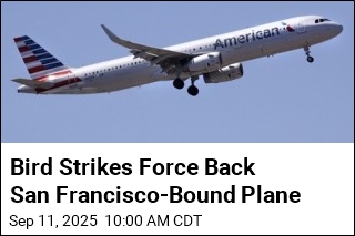 Bird Strikes Force Flight Back to Philadelphia