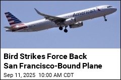 Bird Strikes Force Flight Back to Philadelphia