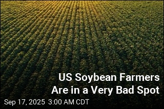 China&#39;s Soybean Boycott Is Really Bad News for US Farmers