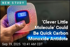 Antidote Shows Promise for Carbon Monoxide Treatment