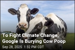 Google Bets on Manure to Fight Climate Change