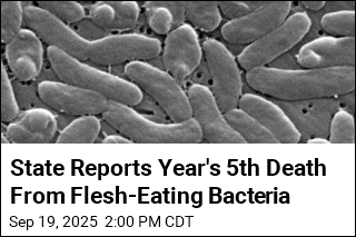 State Reports Year&#39;s 5th Death From Flesh-Eating Bacteria