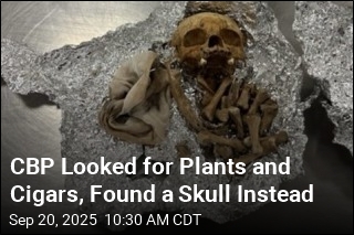 Human Skull Found in Luggage During Tampa Airport Check