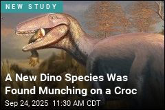 New Dino Species Found Munching on a Crocodile