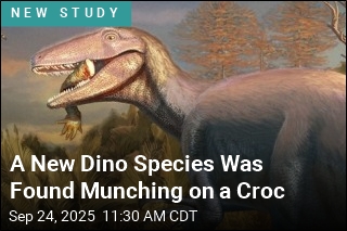 New Dino Species Found Munching on a Crocodile