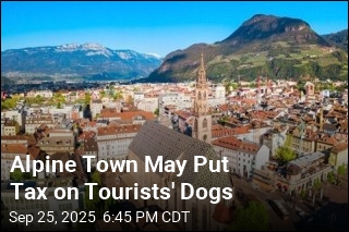 Alpine Town May Put Tax on Tourists&#39; Dogs