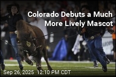 Colorado&#39;s New Mascot Scores in Her Debut