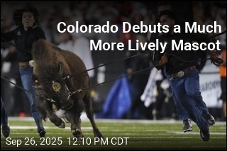 Colorado&#39;s New Mascot Scores in Her Debut