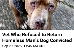 Veterinarian Found Guilty of Stealing Homeless Man&#39;s Dog