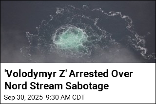 2nd Ukrainian Detained Over Nord Stream Pipeline Blasts