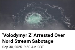 2nd Ukrainian Detained Over Nord Stream Pipeline Blasts