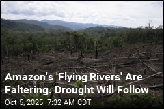 Amazon&#39;s &#39;Flying Rivers&#39; Are Faltering. Drought Will Follow