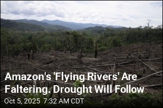 Amazon&#39;s &#39;Flying Rivers&#39; Are Faltering. Drought Will Follow