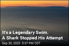 He Was Miles From Land When a Shark Bit