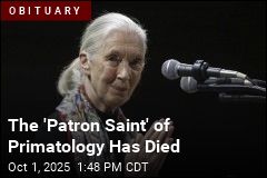 Jane Goodall Dies at 91