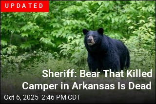 He Shared Pics of Bear in Camp. Days Later, He Was Dead