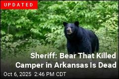 He Shared Pics of Bear in Camp. Days Later, He Was Dead