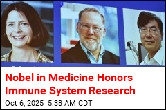 Nobel in Medicine Honors Immune System Research