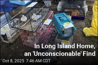 Cops: Hundreds of Animals, Elderly Woman Found in Home