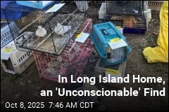 Cops: Hundreds of Animals, Elderly Woman Found in Home