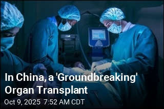 China Pioneers First Pig Liver Transplant in Human Patient