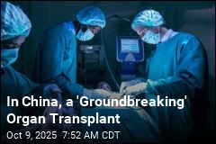 China Pioneers First Pig Liver Transplant in Human Patient