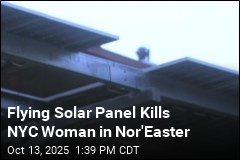 Dislodged Solar Panel Kills Brooklyn Woman in Nor&#39;easter