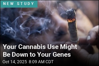 Gene Tied to Impulsivity May Drive Cannabis Use