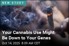 Gene Tied to Impulsivity May Drive Cannabis Use