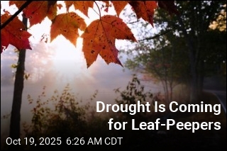 Drought Is Coming for Leaf-Peepers