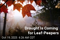 Drought Is Coming for Leaf-Peepers