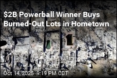 Powerball Winner Turns Developer in Wildfire-Scarred Altadena