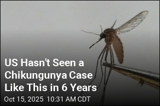 Case of Chikungunya Virus in New York Is Notable