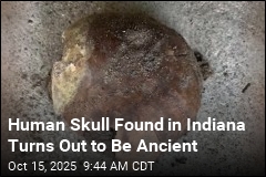 Human Skull Found in Indiana Turns Out to Be 4K Years Old