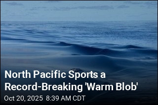 North Pacific&#39;s Record-Breaking Heat Is an Anomaly