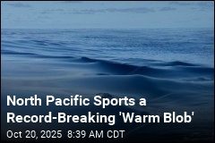 North Pacific&#39;s Record-Breaking Heat Is an Anomaly