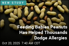 Feeding Babies Peanuts Has Helped Thousands Dodge Allergies