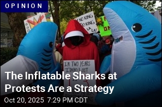 Protesting Sharks Are a Tactic