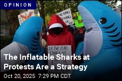 Protesting Sharks Are a Tactic