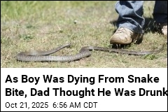 As Boy Was Dying From Snake Bite, Dad Thought He Was Drunk