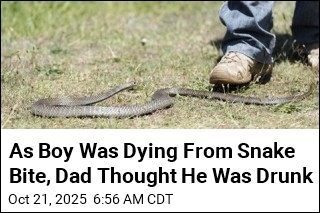 As Boy Was Dying From Snake Bite, Dad Thought He Was Drunk