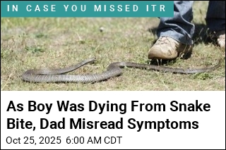 As Boy Was Dying From Snake Bite, Dad Thought He Was Drunk