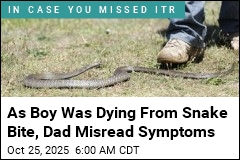 As Boy Was Dying From Snake Bite, Dad Thought He Was Drunk