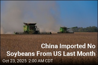 China Snubs US Soybeans, Turns to South America