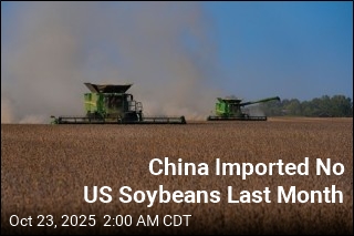China Snubs US Soybeans, Turns to South America