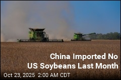 China Snubs US Soybeans, Turns to South America